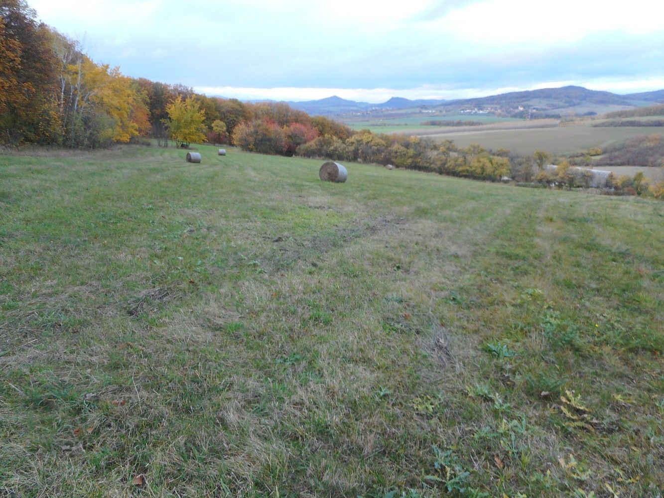 Prodej louka - Polepy - Třebutičky, okres Litoměřice, Ústecký kraj - 5