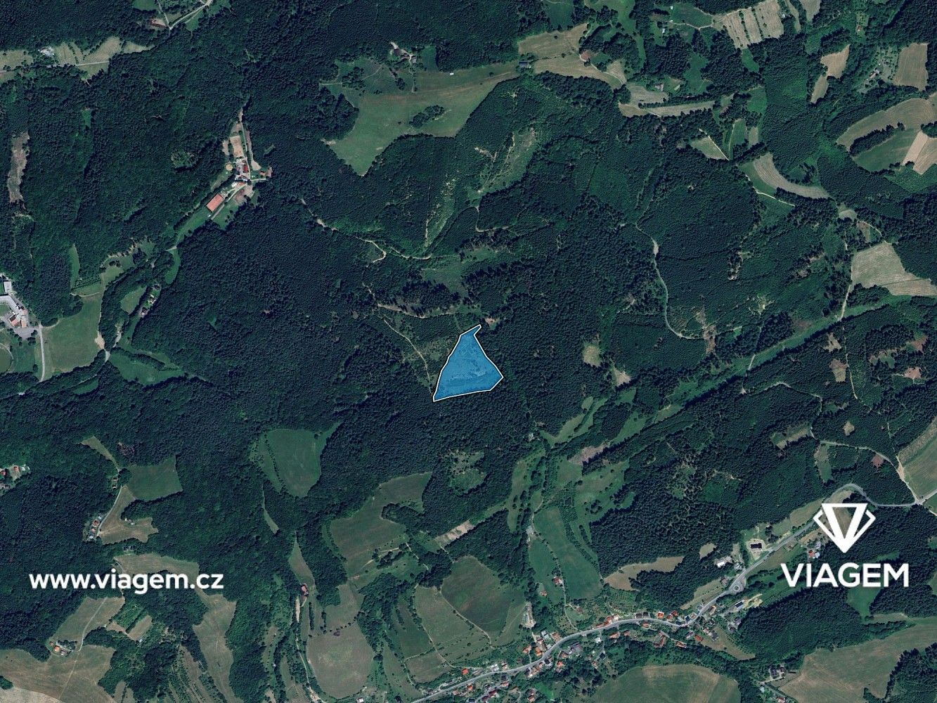 Les · Všemina, okres Zlín, Zlínský kraj - 3