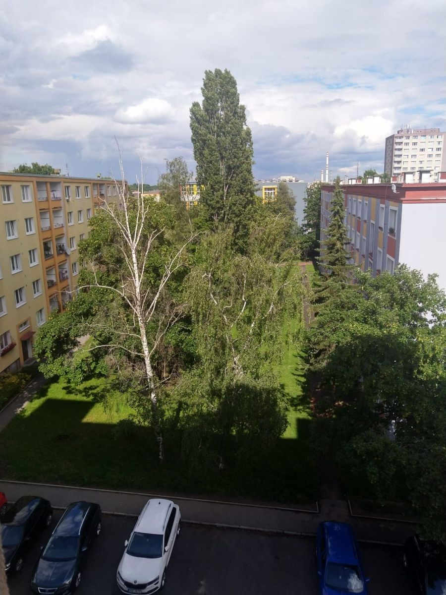 Byt 2+1 · 52 m² · Skřivanská, Praha - Malešice - 3