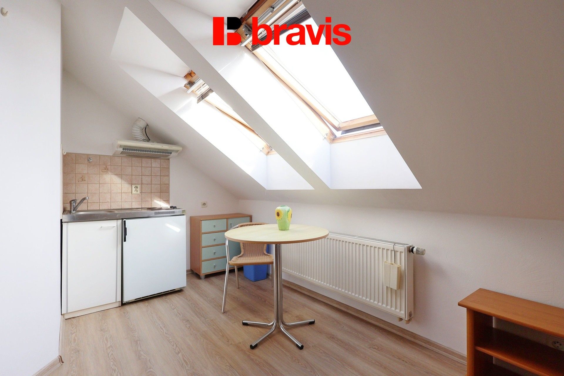 1+kk, Palackého třída, Brno, 28 m²