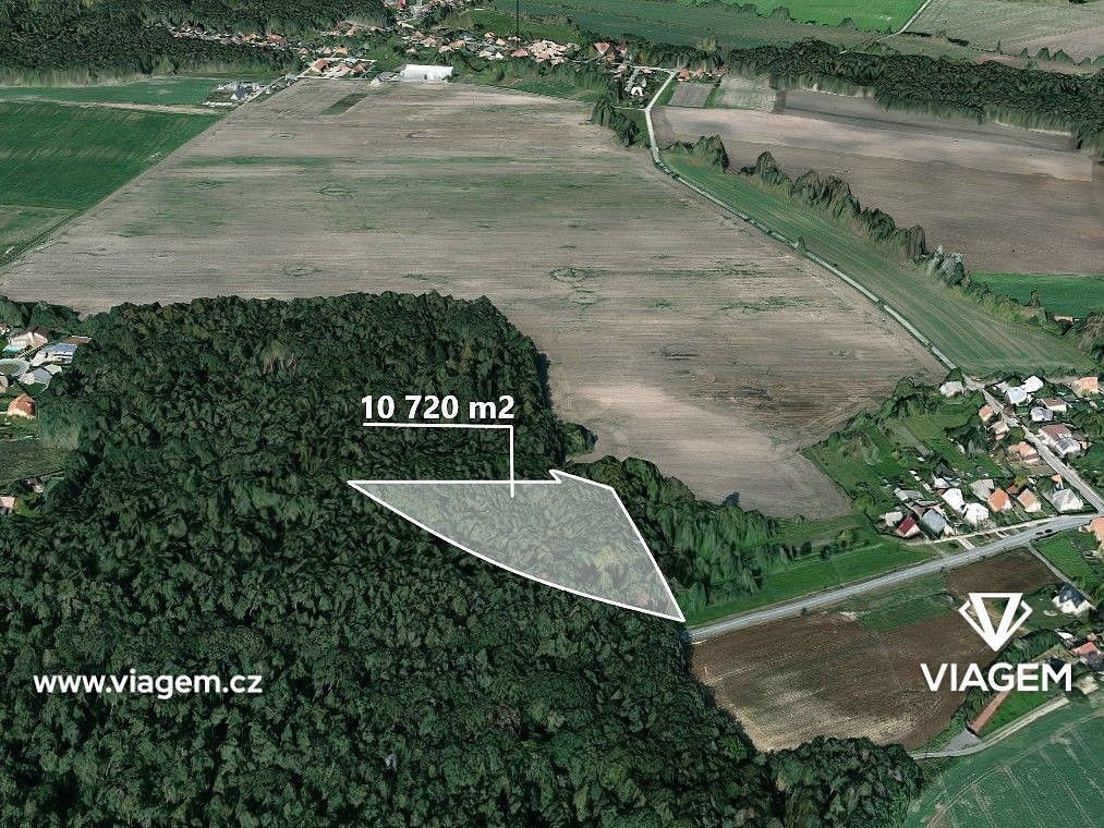 Lesy, Dašice, okres Pardubice, Pardubický kraj - 1