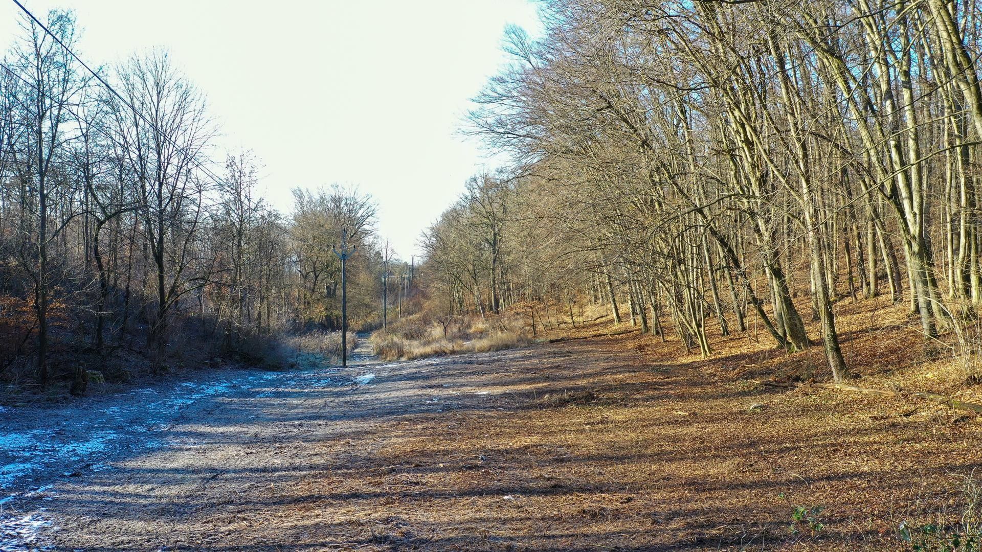 Prodej zahrada - Brno-sever, Brno, 1 446 m²