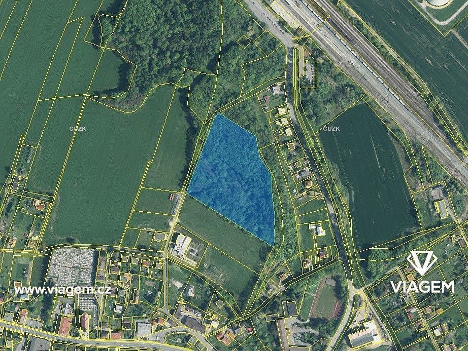 Les · Dětmarovice, okres Karviná, Moravskoslezský kraj - 4