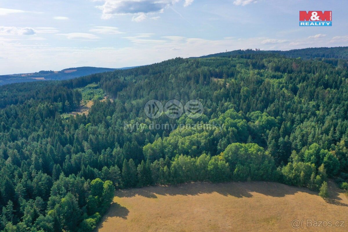 Lesy, Tachov, 347 01, 7 291 m²