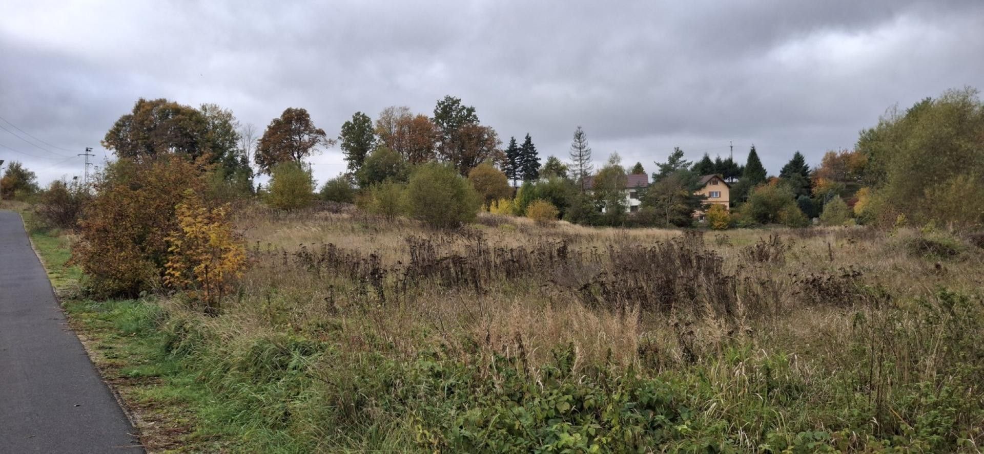 Prodej pozemek pro bydlení - Písečná, Skalná