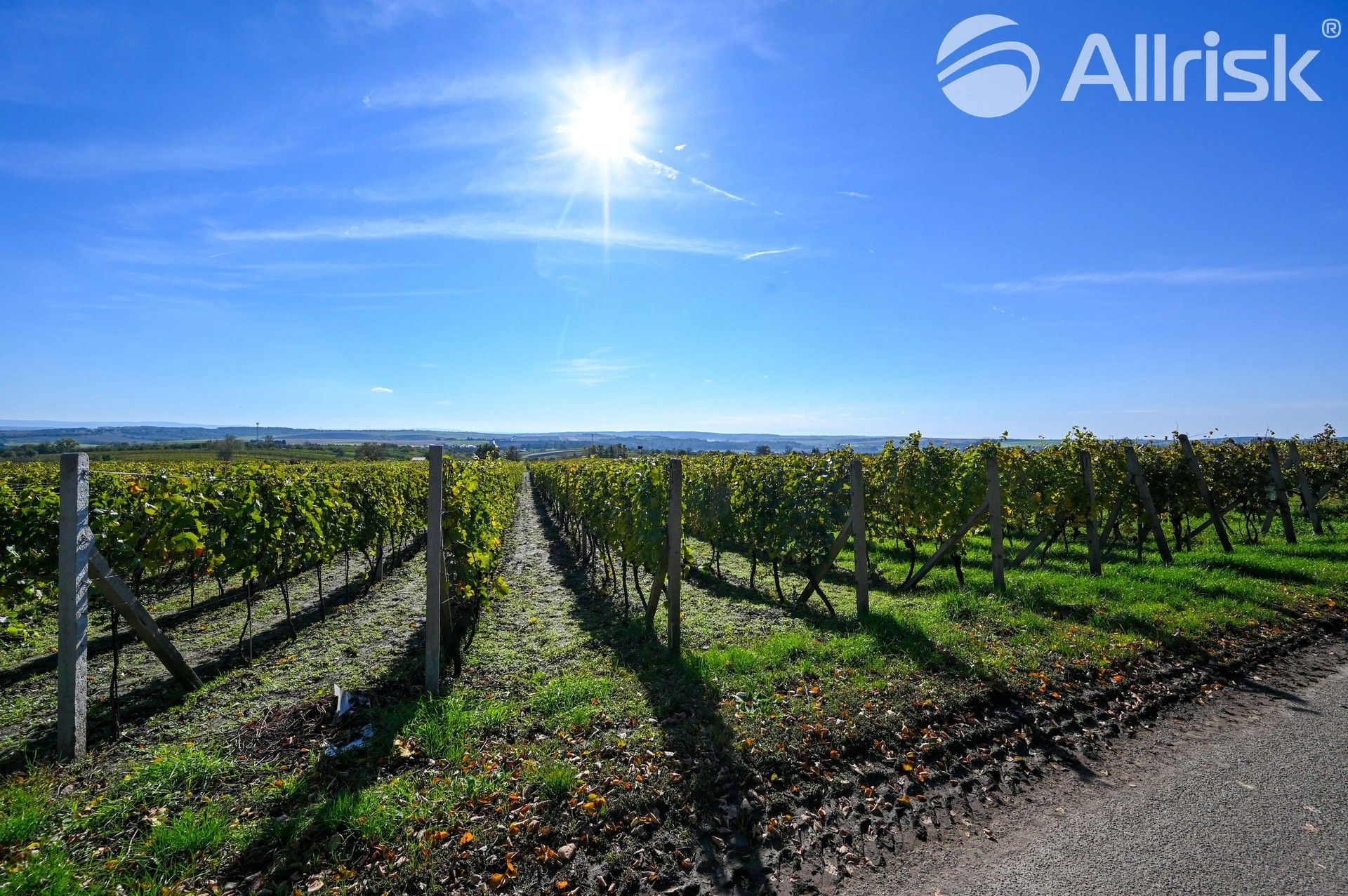 Prodej zemědělský pozemek - Hovorany