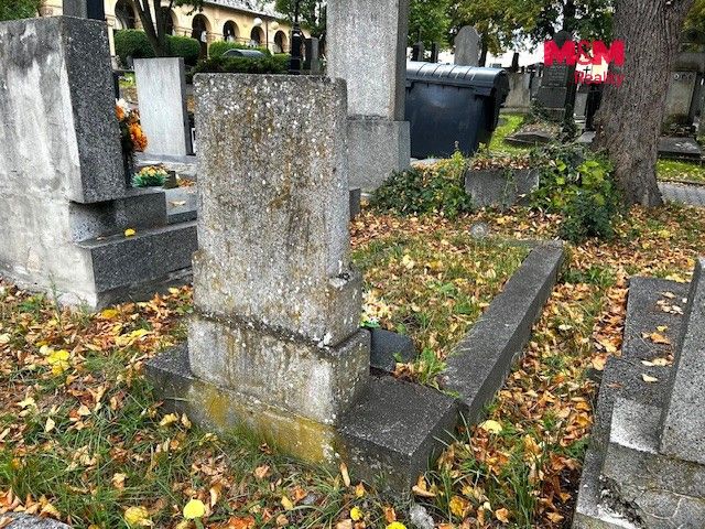 Prodej ostatní - Rokycanská, Plzeň, 3 m² - 5