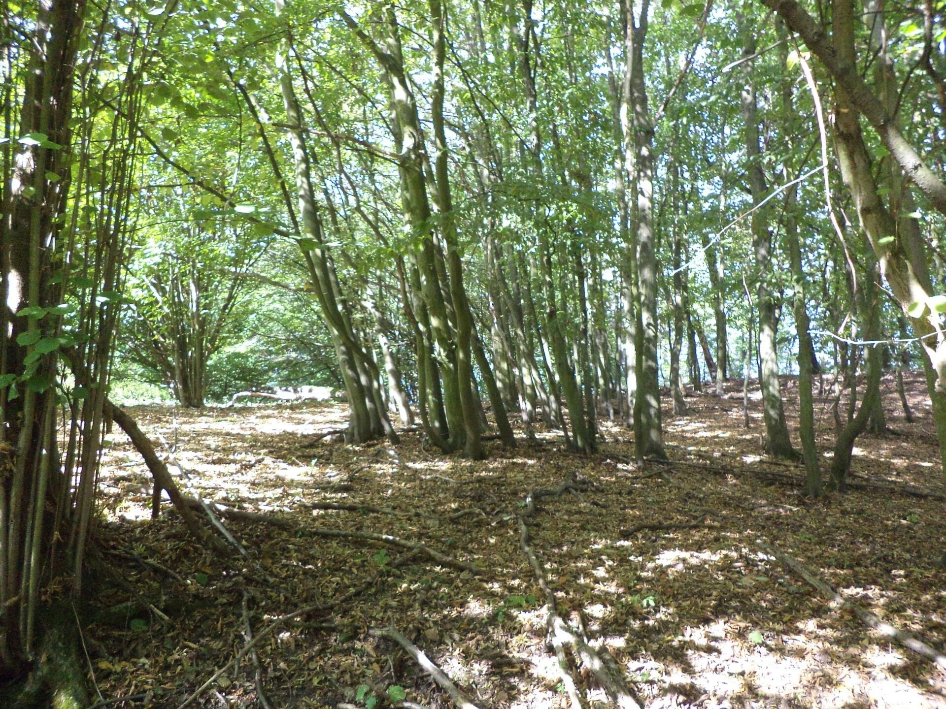 Zemědělské pozemky, Malé Březno, 14 m²