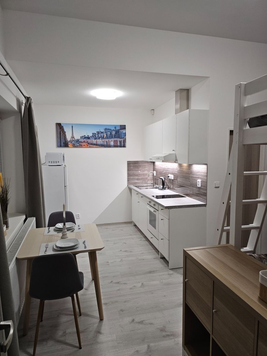 Pronájem byt 1+kk - Vrapická, Kladno - Dubí u Kladna, Středočeský kraj, 24 m² - 2