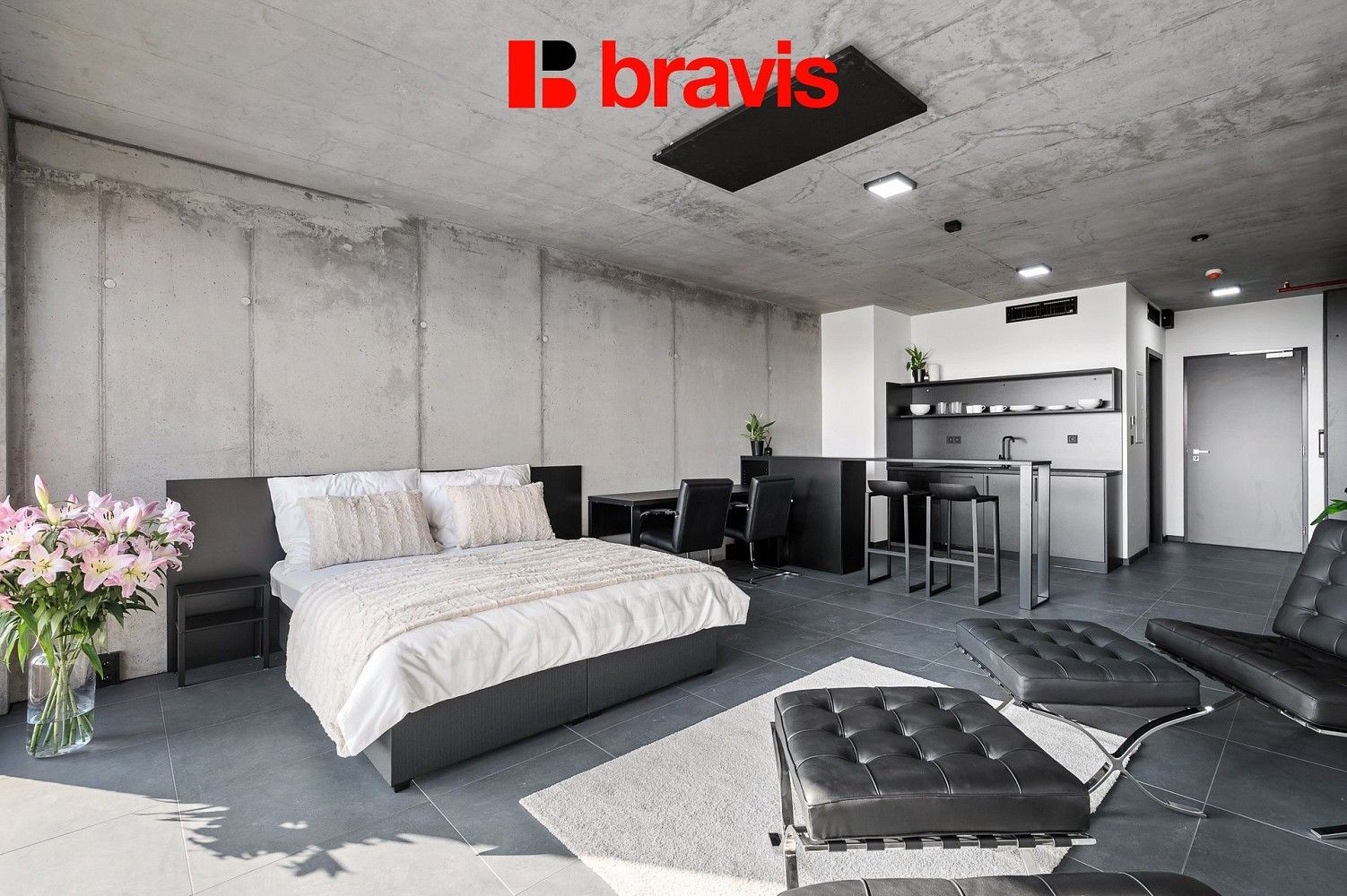 1+kk, Brno - Žabovřesky, okres Brno-město, Jihomoravský kraj, 35 m² - 2