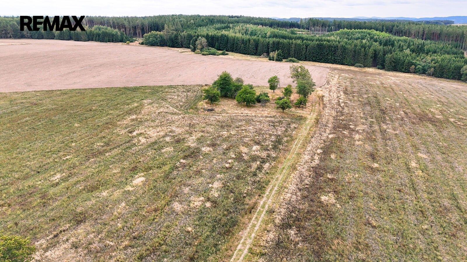 Pozemek pro bydlení · 3 633 m² · Ošelín - 4