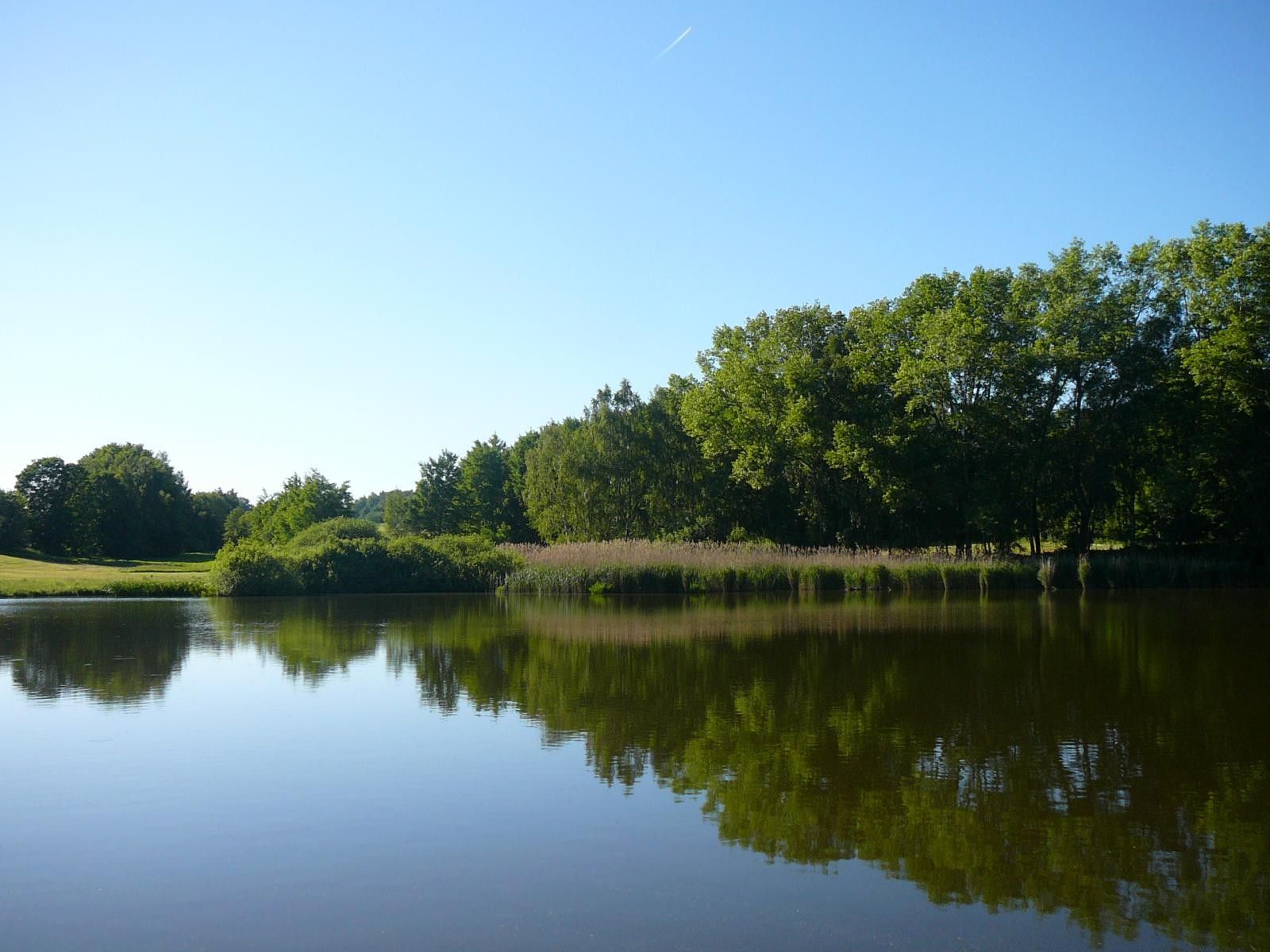 Prodej rodinný dům - Štoky, 1 000 m² - 5