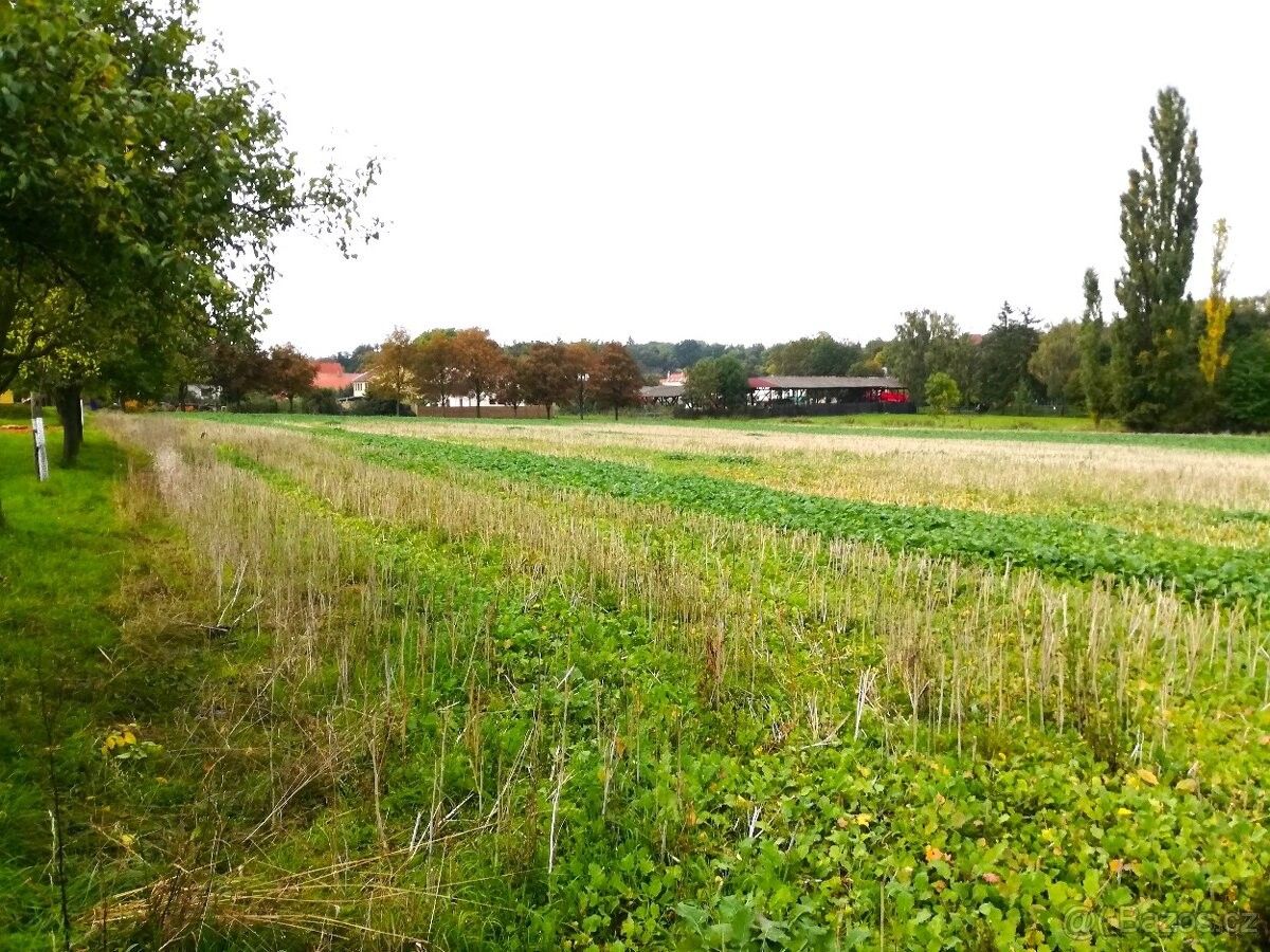 Pozemky pro bydlení, Kolešovice, 270 02