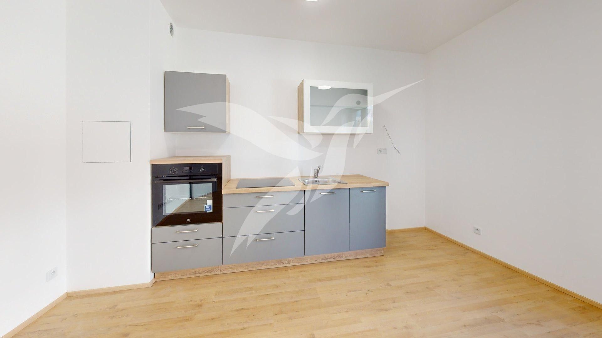 1+kk, Železná 3068, Plzeň Jižní Předměstí, 30 m²