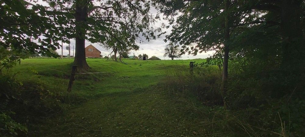 Pozemky pro bydlení, Dolní Poustevna, 407 82