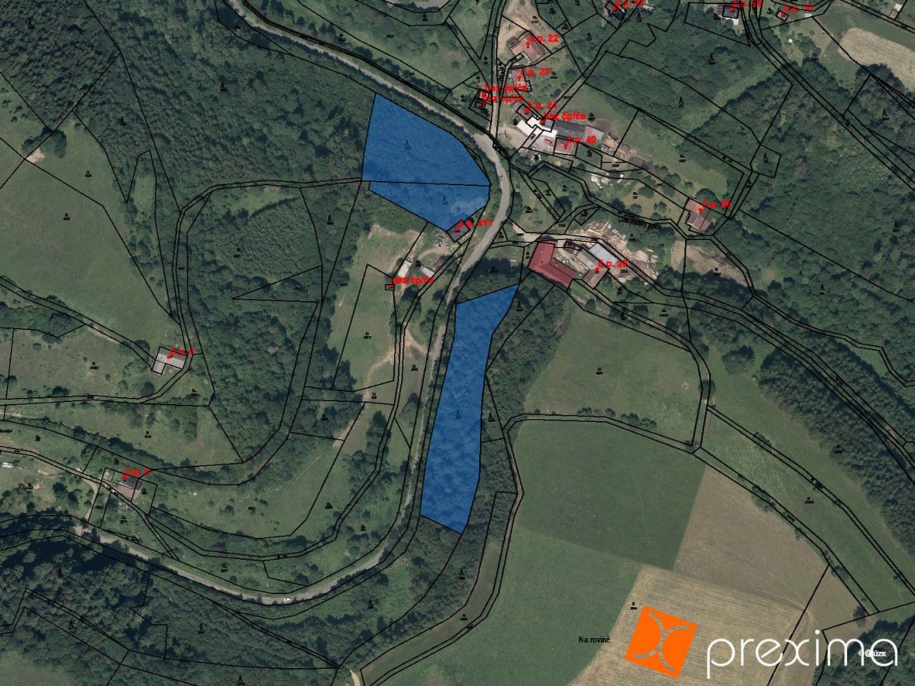 Les · Cotkytle, okres Ústí nad Orlicí, Pardubický kraj - 1