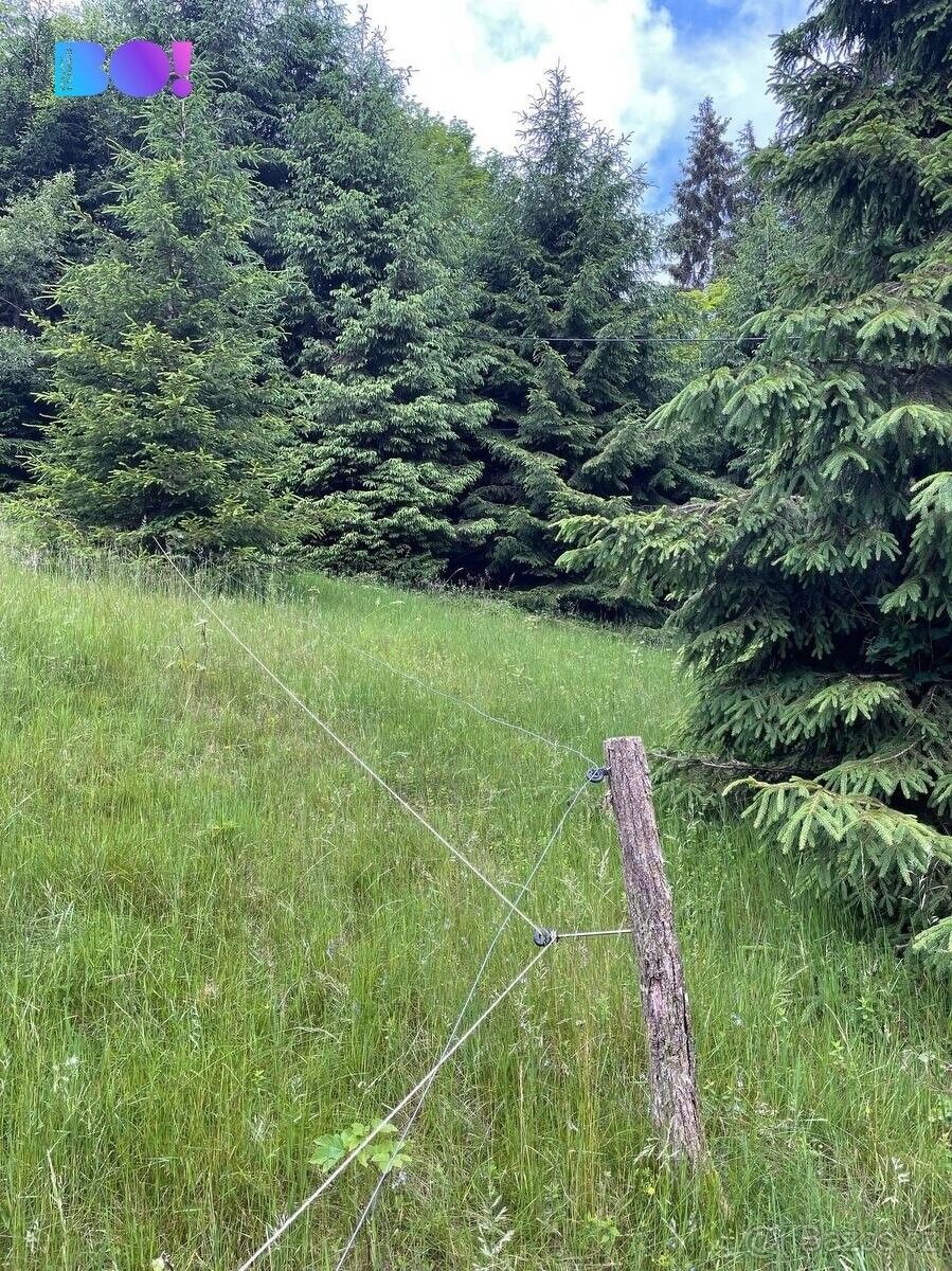 Pozemky pro bydlení, Staré Hamry, 739 15