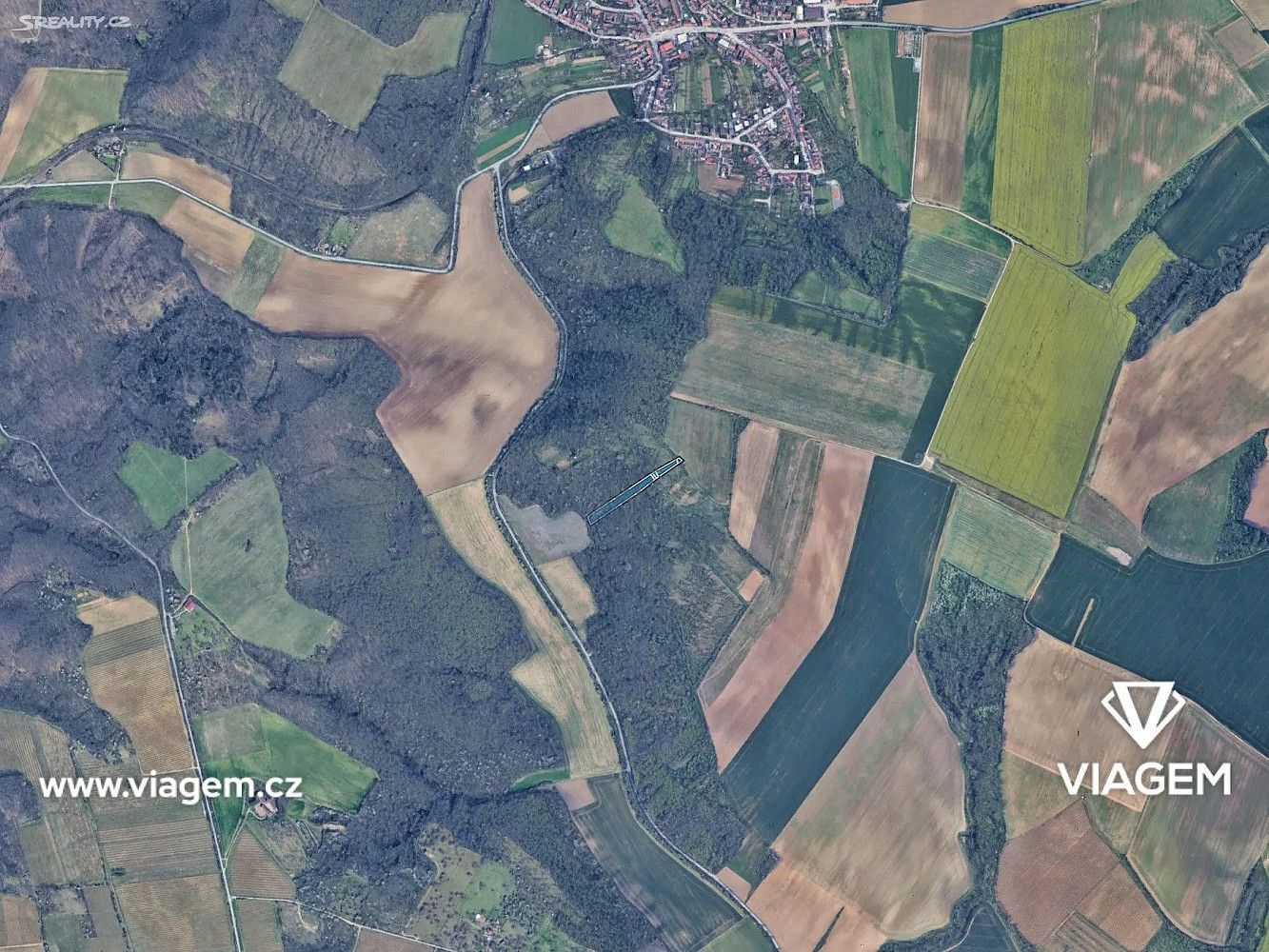 Les · Silůvky, okres Brno-venkov, Jihomoravský kraj - 3