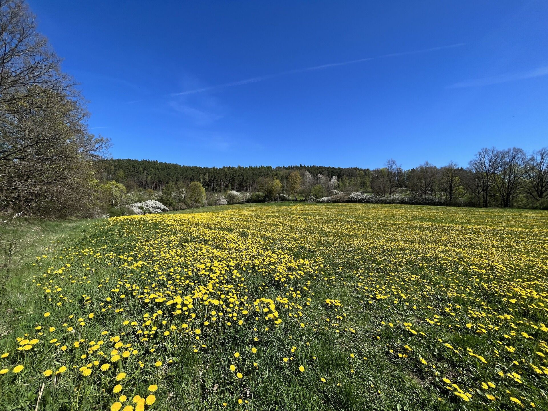 Zemědělský pozemek · 15 428 m² · Kájov Staré Dobrkovice - 4