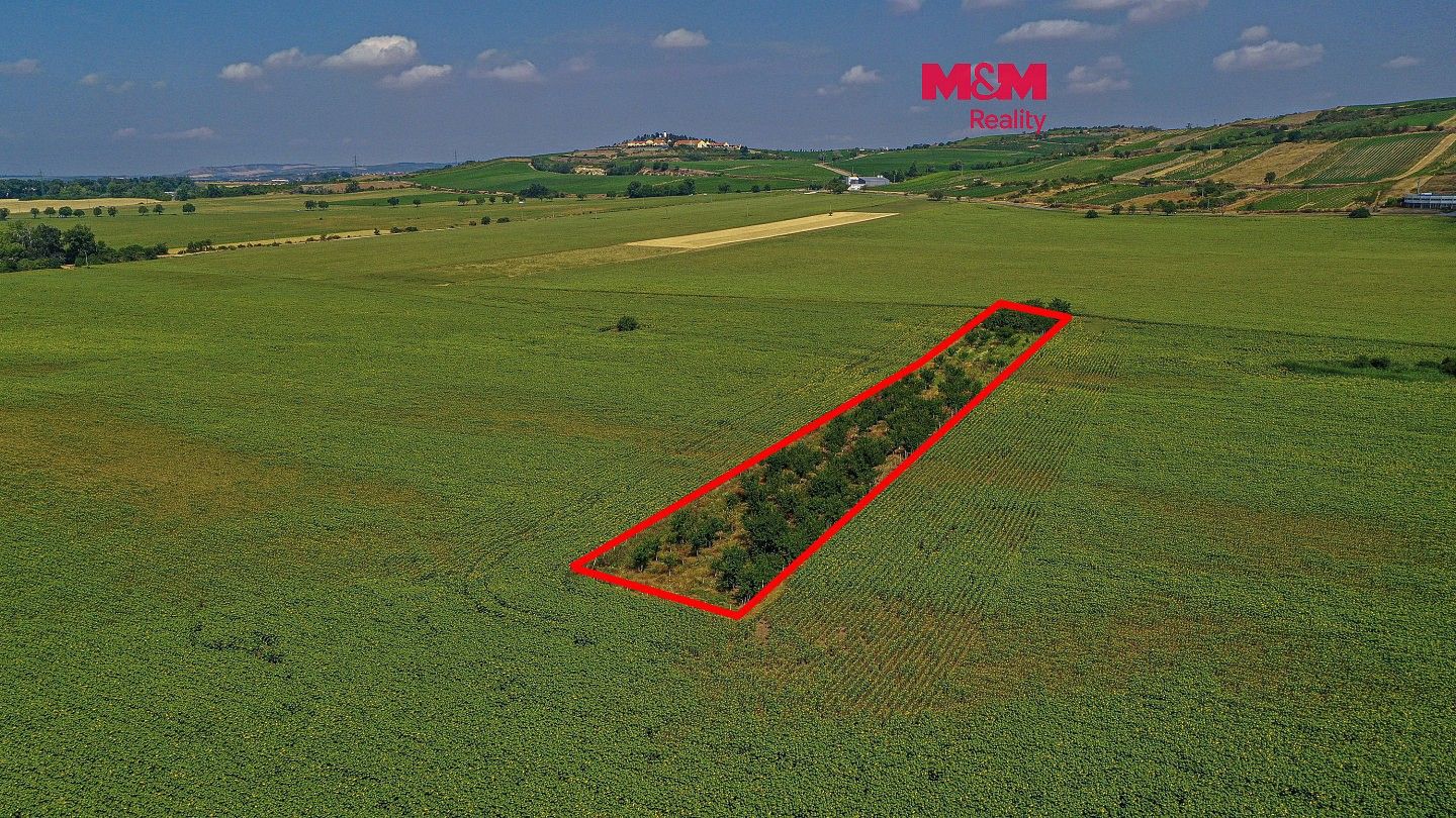 Zemědělské pozemky, Zaječí, okres Břeclav, Jihomoravský kraj - 1
