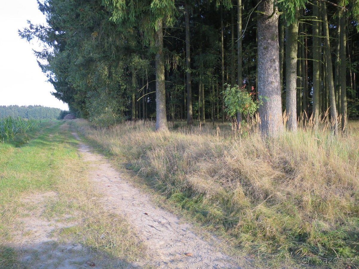 Prodej pozemek pro bydlení - 391 32, Tábor - 5