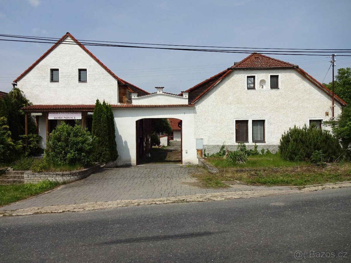 Pronájem restaurace - Benešov u Prahy, 256 01