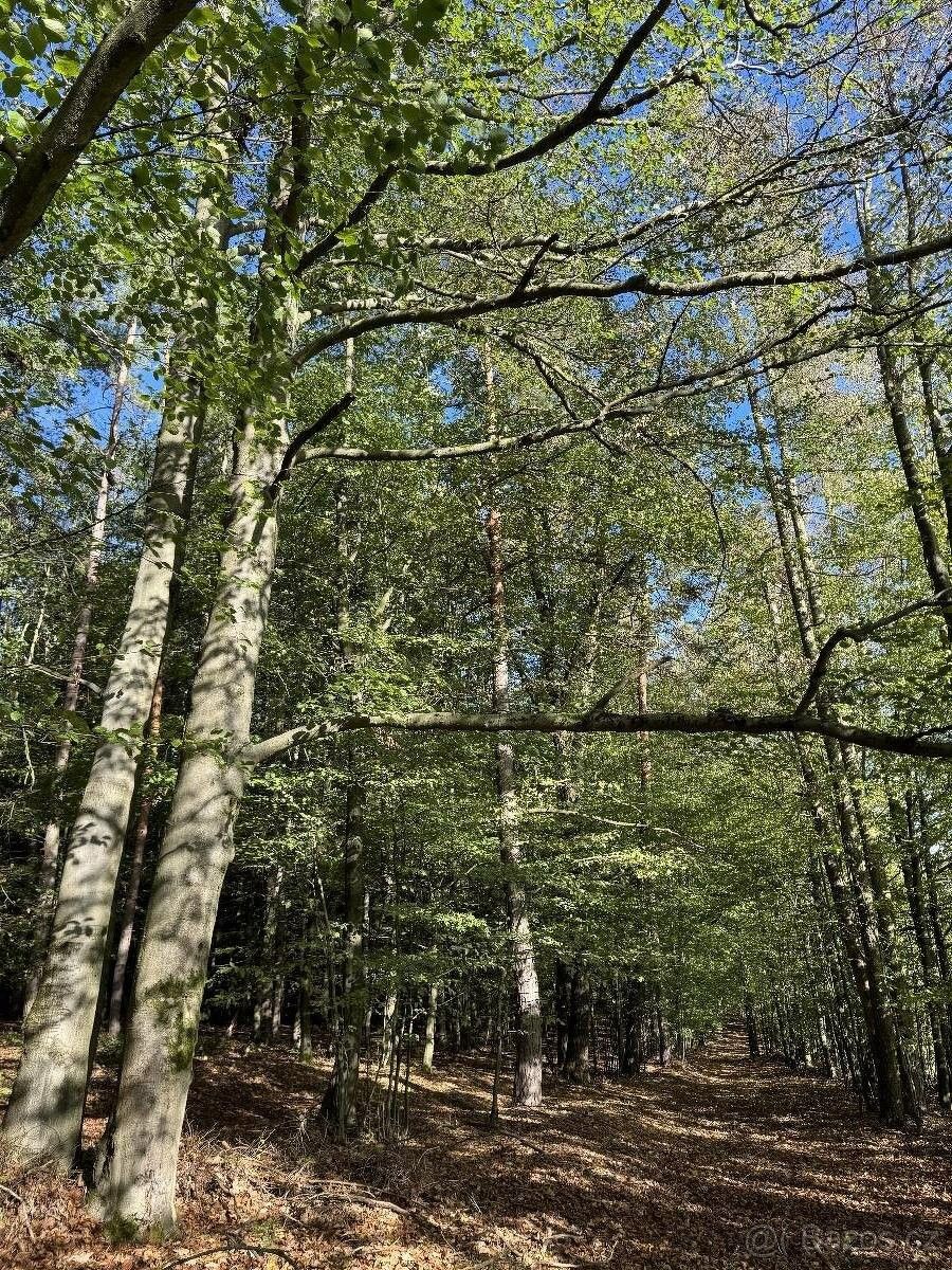 Prodej pozemek pro bydlení - Zábřeh, 789 01