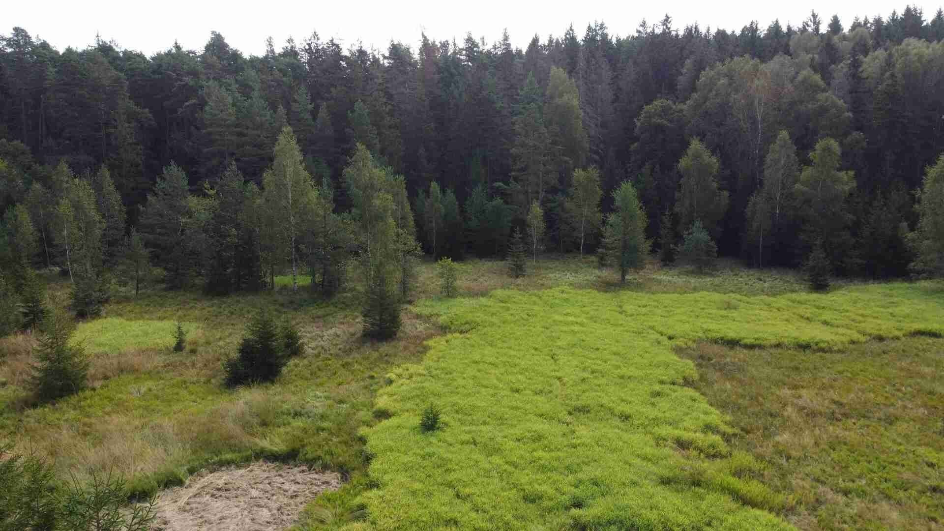 Zemědělský pozemek · 52 176 m² · Rozvadov - 4