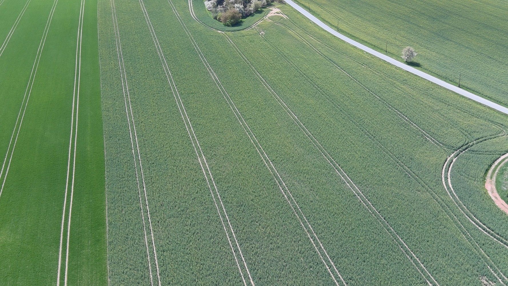 Zemědělské pozemky, Přehýšov, okres Plzeň-sever, Plzeňský kraj - 2