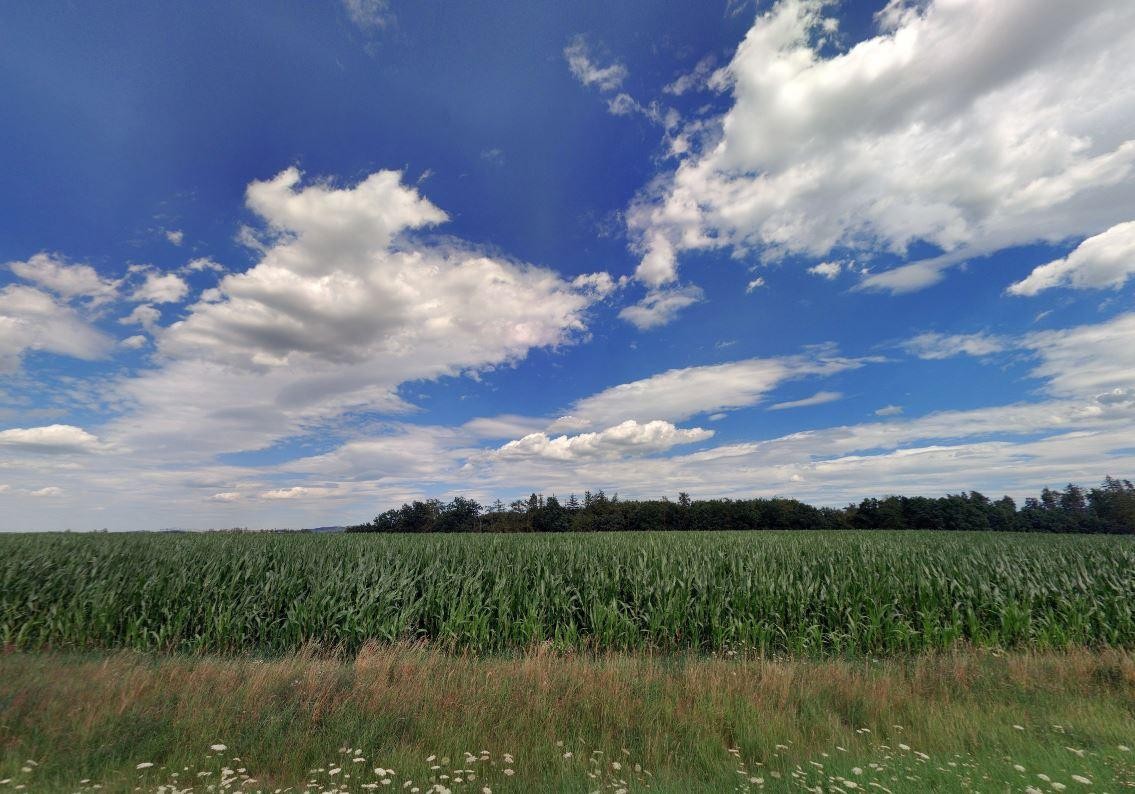 Zemědělský pozemek · 18 096 m² · Petrovice, Bystřice - 3