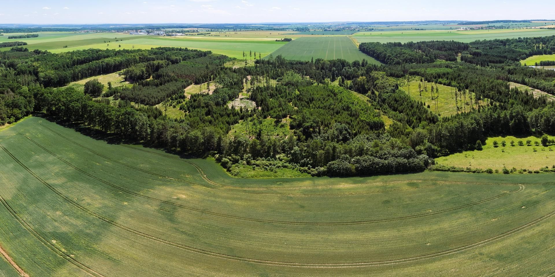 Zemědělský pozemek · 18 109 m² · Valeč - 4