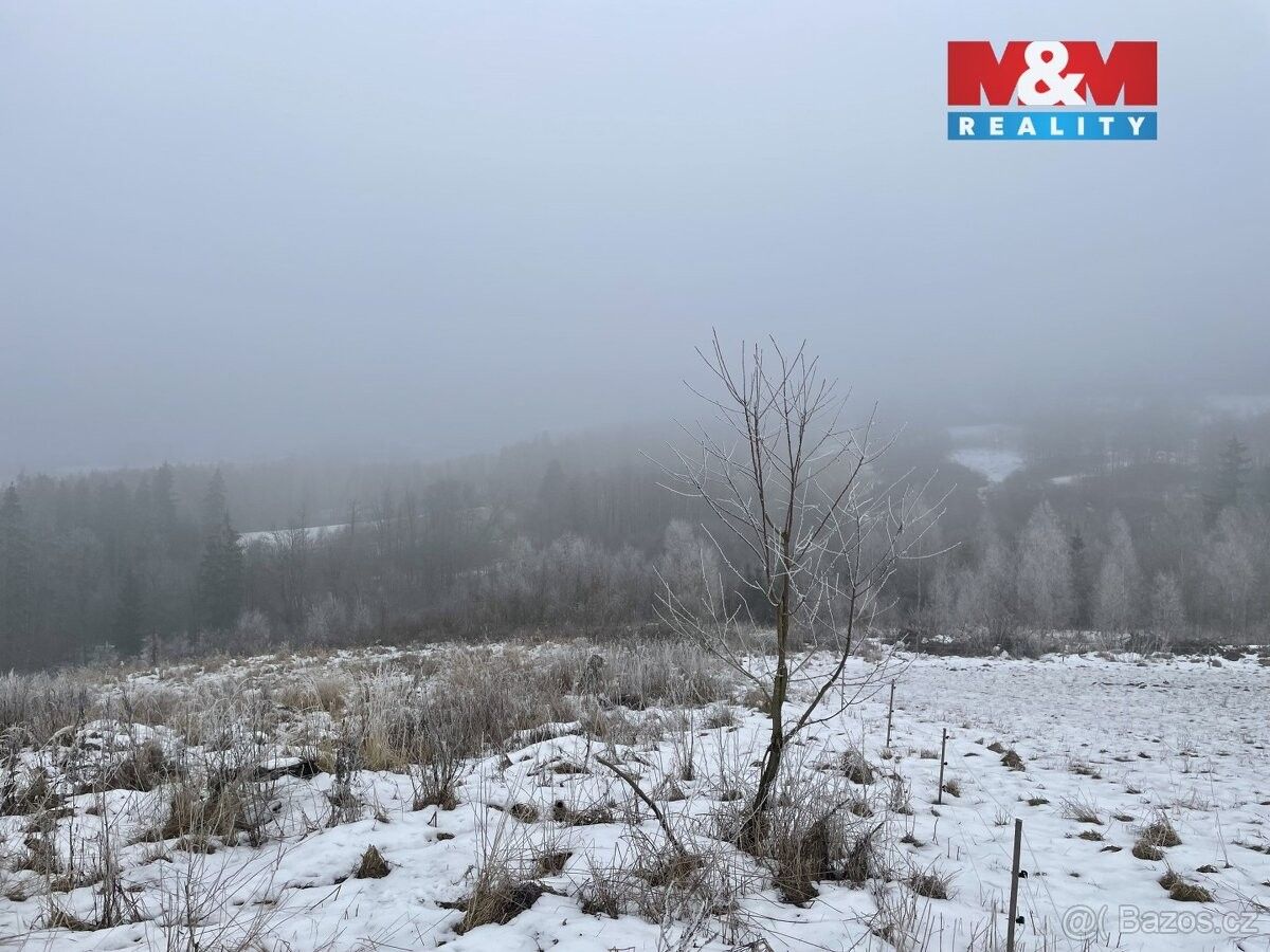 Prodej pozemek pro bydlení - Železný Brod, 468 22