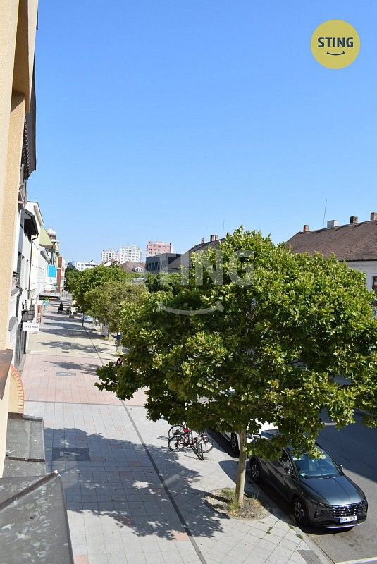 Obchodní prostory · 401 m² · Hodonín, Jihomoravský kraj - 3