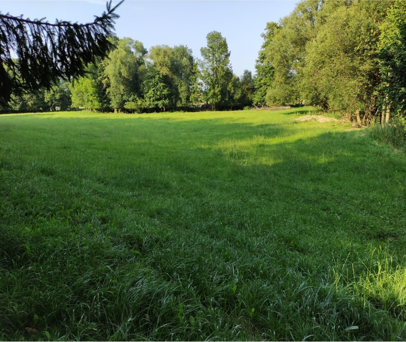 Louka · Vysoké Mýto - Vysoké Mýto, Pardubický kraj - 3
