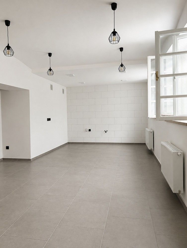 Restaurace, Švédská, Olomouc, 100 m² - 1