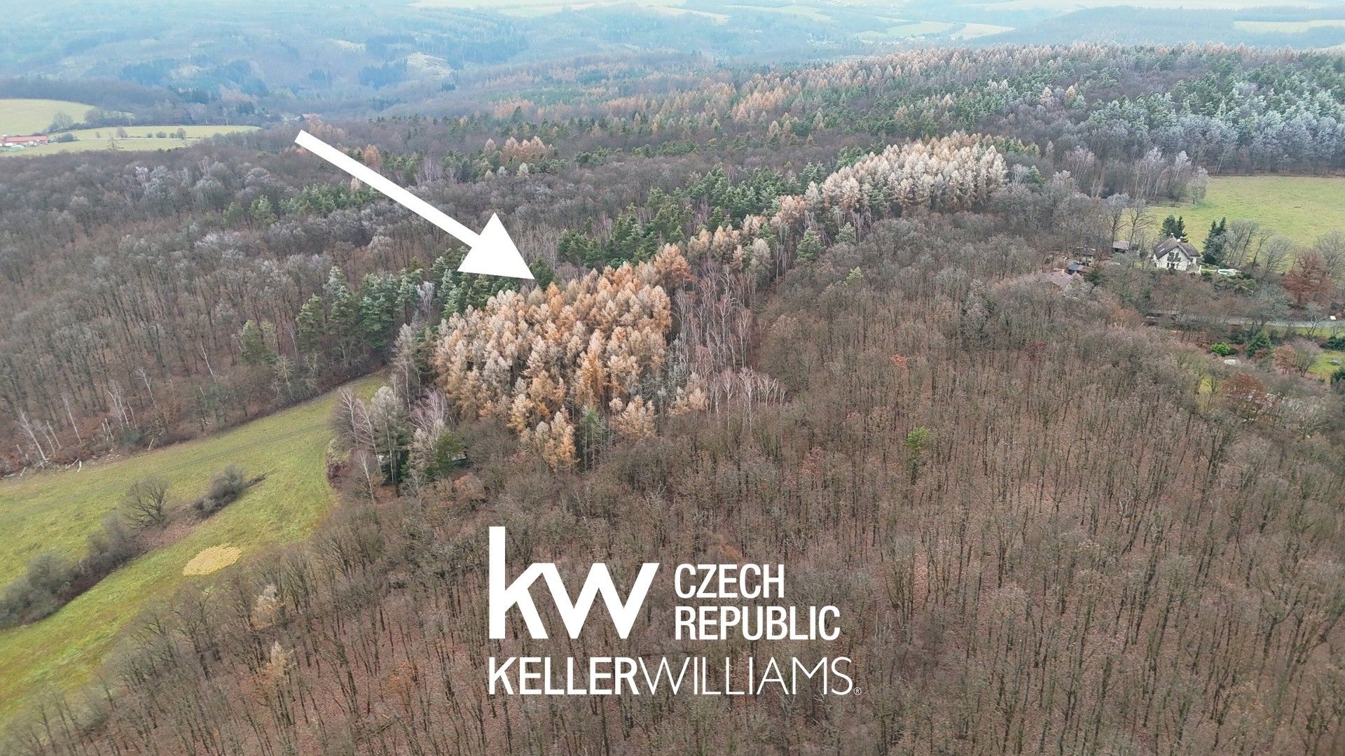 Lesy, Na dolích, Petrov