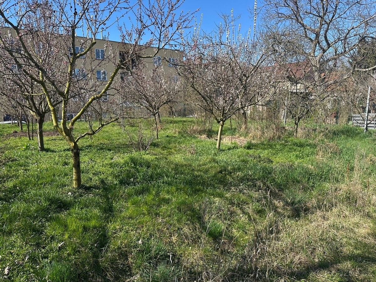 Zahrada · Pardubice, 530 03 - 3