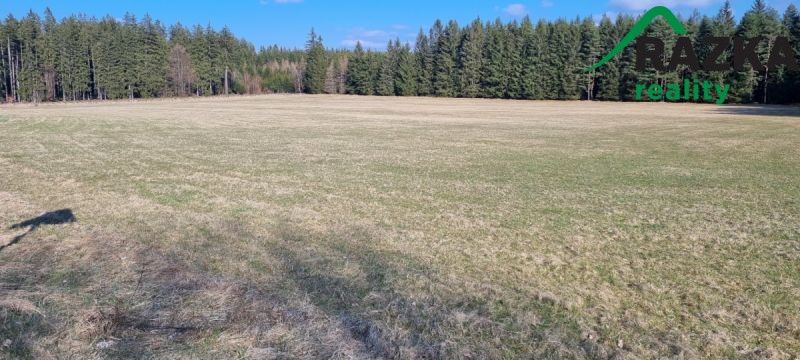 Prodej zemědělský pozemek - Chodský Újezd