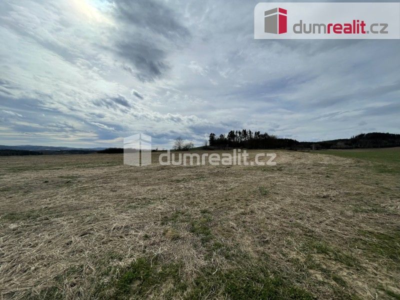 Louka · 5 593 m² · Libíň, Sedlčany - 4