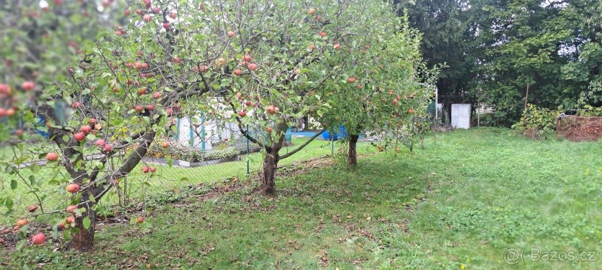 Zahrady, Poděbrady, 290 01