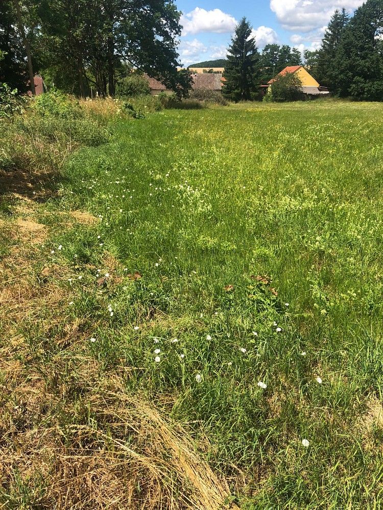 Pozemek pro bydlení, 1 350 m²