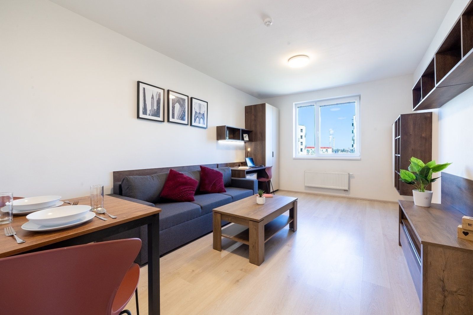 2+1, Magisterská, Plzeň, Plzeňský kraj, 46 m² - 1