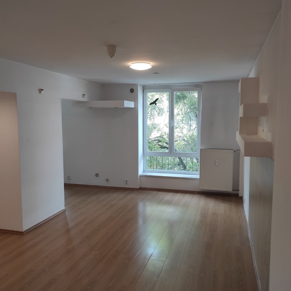 3+kk, Jungmannova, Pardubice - Pardubice, Pardubický kraj, 77 m² - 2