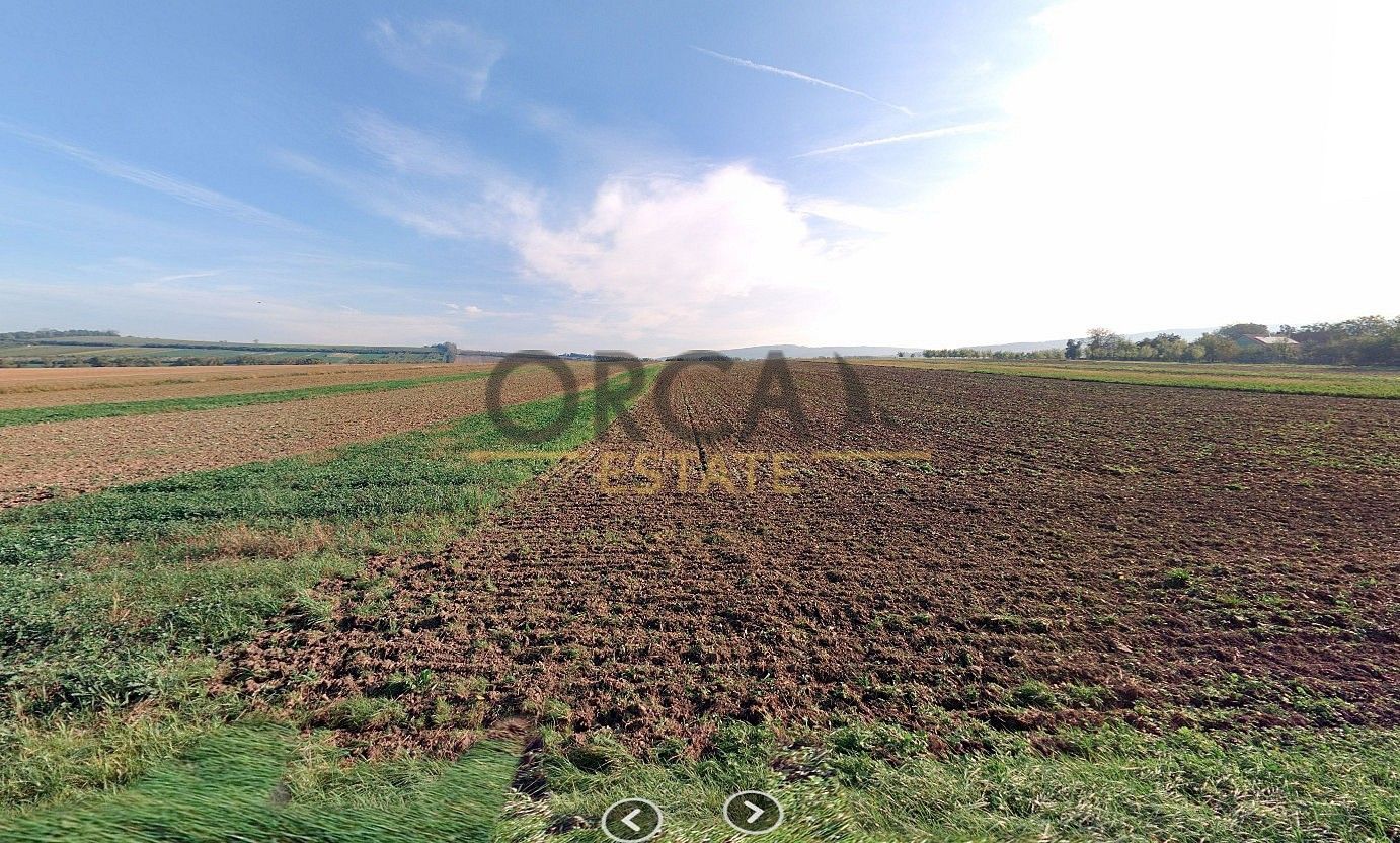 Zemědělský pozemek · Hrubá Vrbka, okres Hodonín, Jihomoravský kraj - 4
