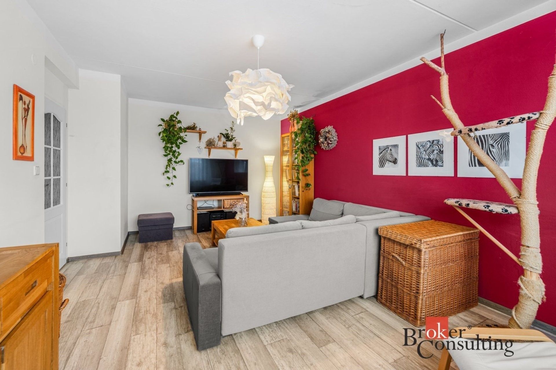 3+1, Částkova, Plzeň, 85 m²