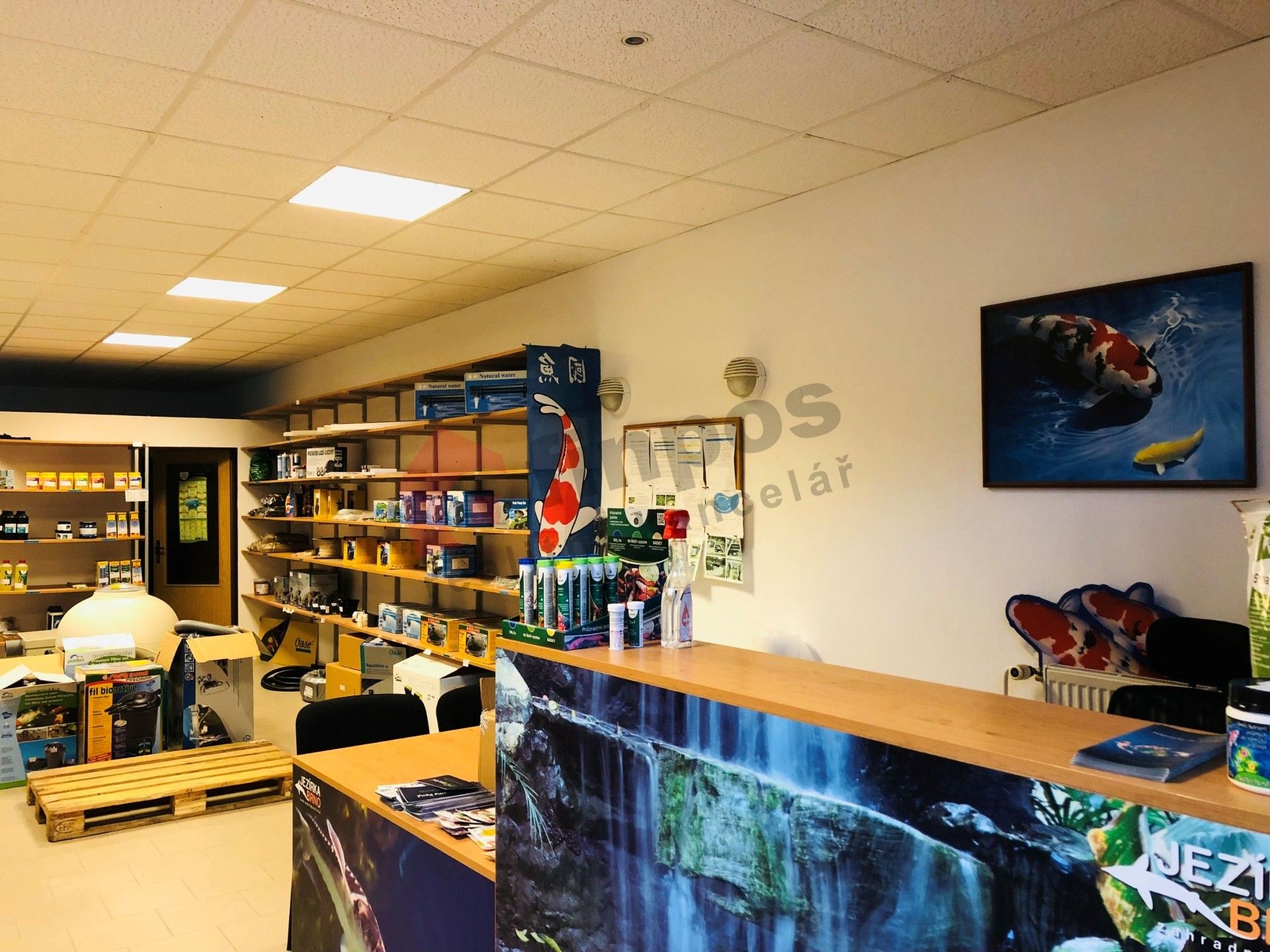 Obchodní prostory, Sobolova 146, Brno Bohunice, 79 m² - 1