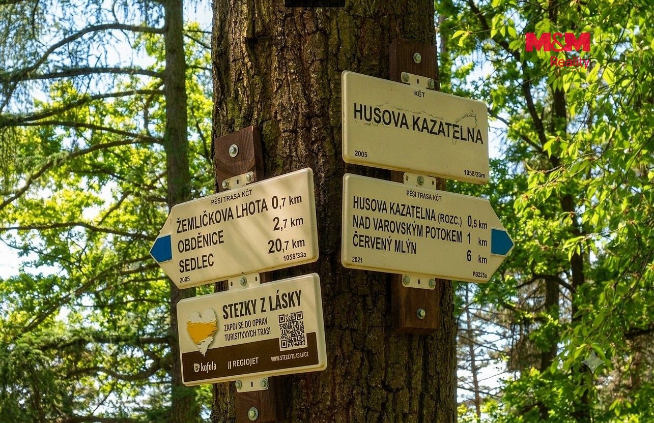 Prodej les - Petrovice - Žemličkova Lhota, okres Příbram - 5