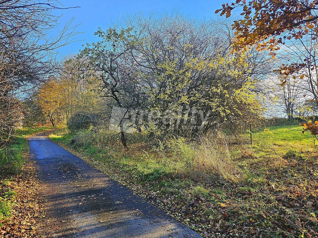 Pozemek pro bydlení, 1 000 m²