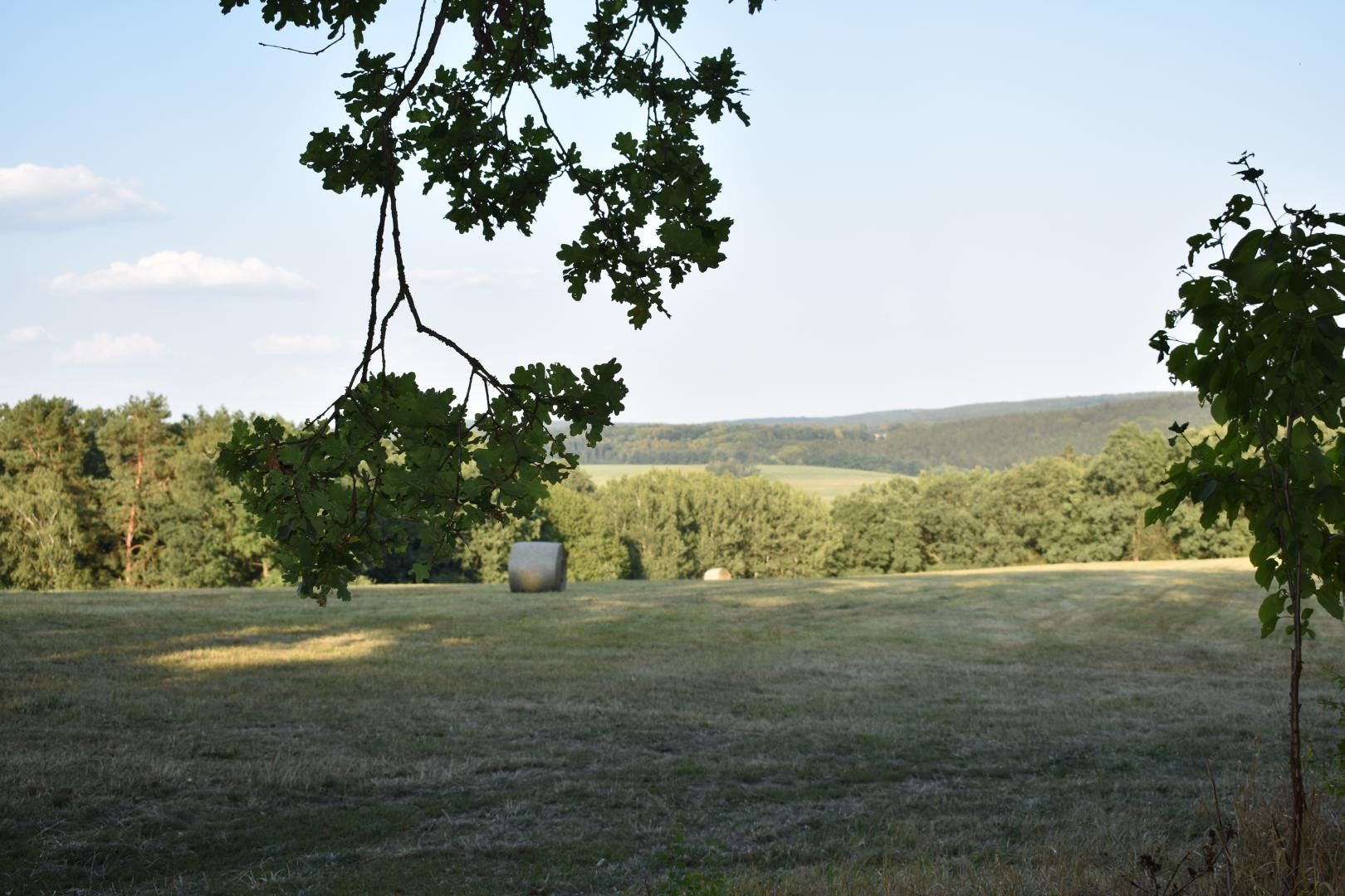 Pronájem zemědělský pozemek - Purkarec, Hluboká nad Vltavou