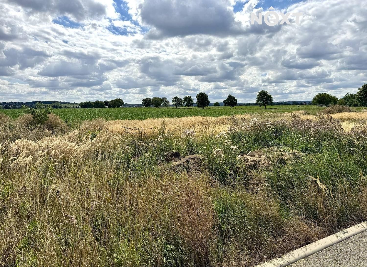 Prodej pozemek pro bydlení - Bylany